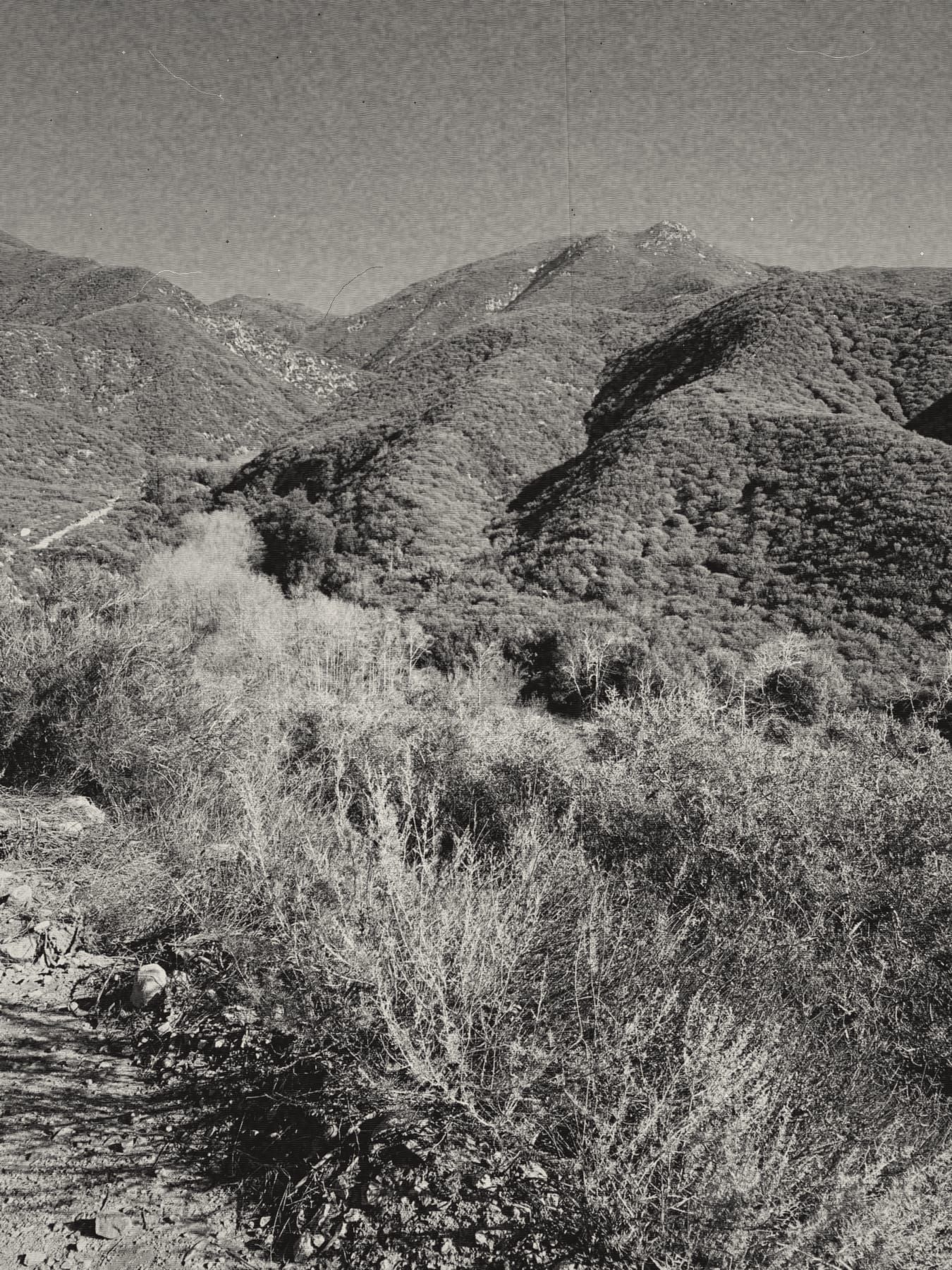 San Bernardino National Forest, CA